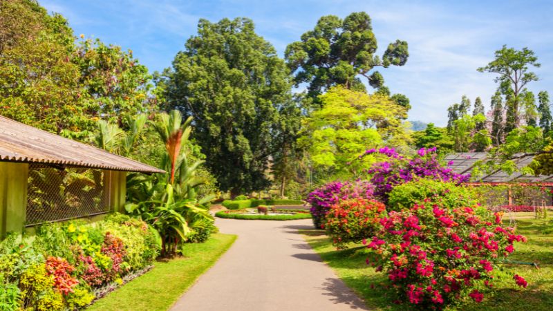 The 10 Most Beautiful Botanical Gardens In The Us